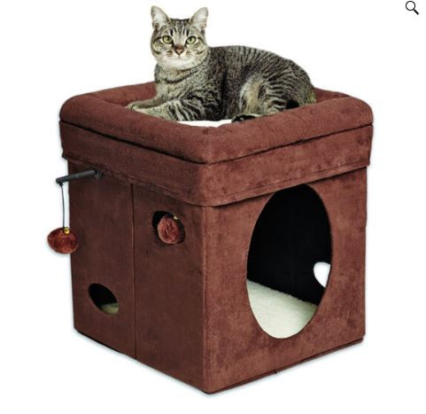 Curious Cat Cube bed