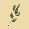 עיצוב ללא שם (50).png