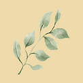 עיצוב ללא שם (54).png