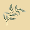 עיצוב ללא שם (47).png