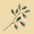 עיצוב ללא שם (53).png