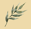 עיצוב ללא שם (44).png