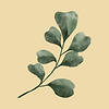עיצוב ללא שם (51).png