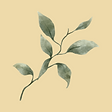 עיצוב ללא שם (52).png