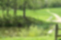 Holmdel Park 2.jpg