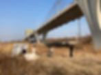 20220527_052615398.jpg