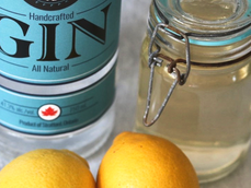 J56 Classic Gin Sour