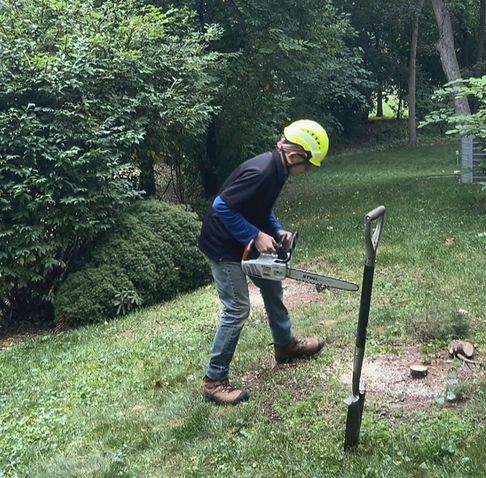 Screenshot 2025-12-20 164727_edited.jpg