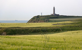 cap-gris-nez-champ-ble-600x400.jpg
