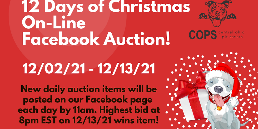12 Days of Christmas Facebook Auction