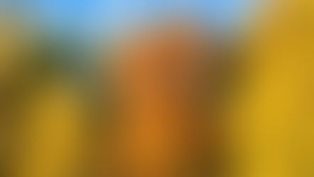 How to change your negative thinking to improve your mood