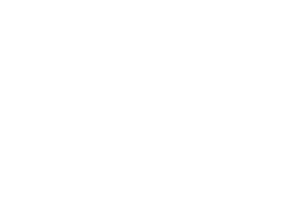 Primavera white logo.tiff