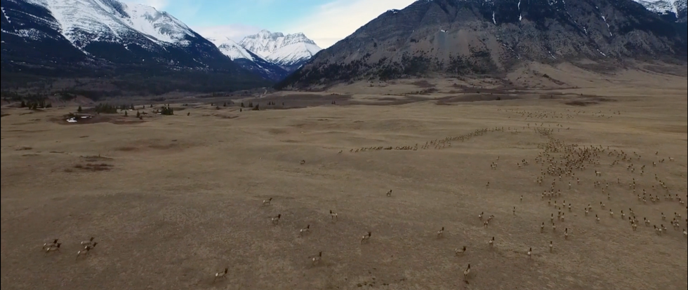 Film still from A World Without (2018)