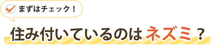 チェック!住み付いているのはネズミ?
