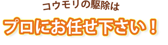 コウモリ駆除はプロにお任せ!