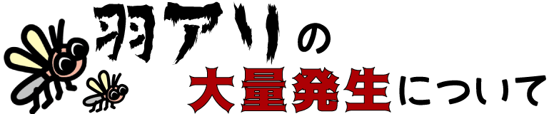 羽蟻の大量発生!