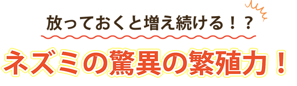 増え続けるネズミの驚異の繁殖力