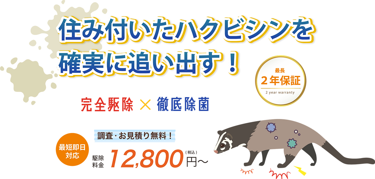 棲みハクビシンを完全駆除&徹底除菌。調査お見積りは無料。