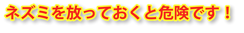 ネズミを放っておくと危険です!