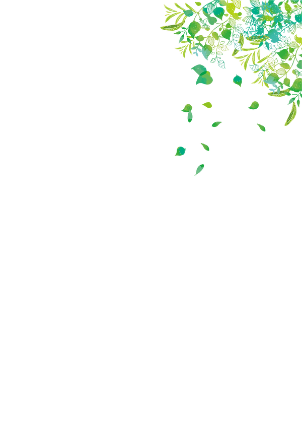 2412177_edited.png