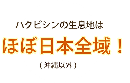 文字 -生息地.png