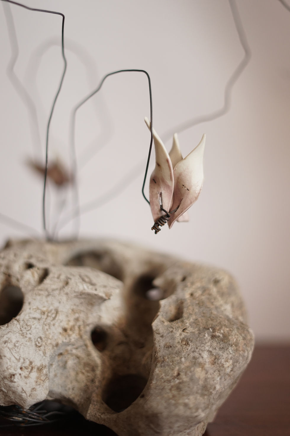 RELATIVE TO CYCLAMEN