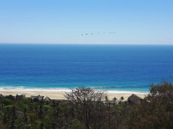Vista de la recámara / view from the bedroom