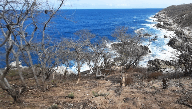 Venta de terreno residencial frente al Océano en playa Salchi, Huatulco