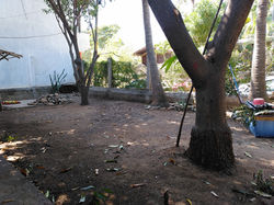 Patio ppal. / MAIN PATIO