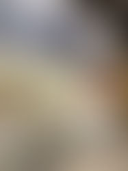 KLUB SHOES - GUERANDE