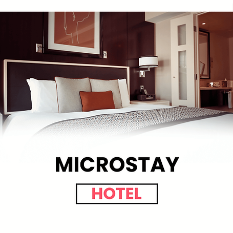 BBG The Microstay Hotel Simulator (1).png