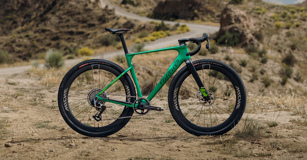 Miniatura: Wilier Rave SLR ID2