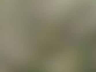 台南善化興華市地重劃