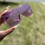 Thumbnail: Custom Purple Sunglasses 
