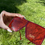Thumbnail: Custom Red Sunglasses 