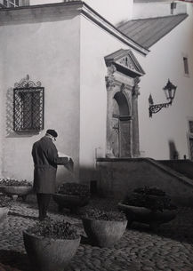 Tarnów pana Wiatra
