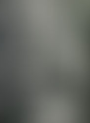 O świcie, gdy wyje asyryjski pies