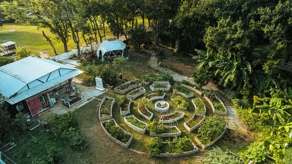 TwoFold-HK-Architecture-landsacpe-farm-design-SAIYUEN-FARM-HONG KONG