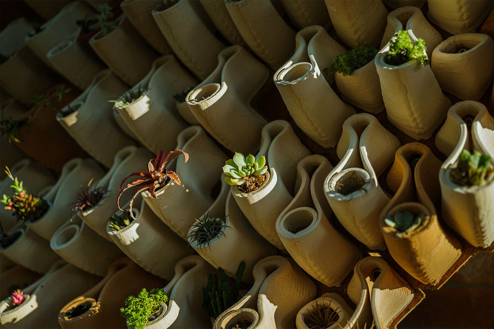 TwoFold-HK-Architecture-landsacpe-farm-design-SAIYUEN-FARM-HONG KONG
