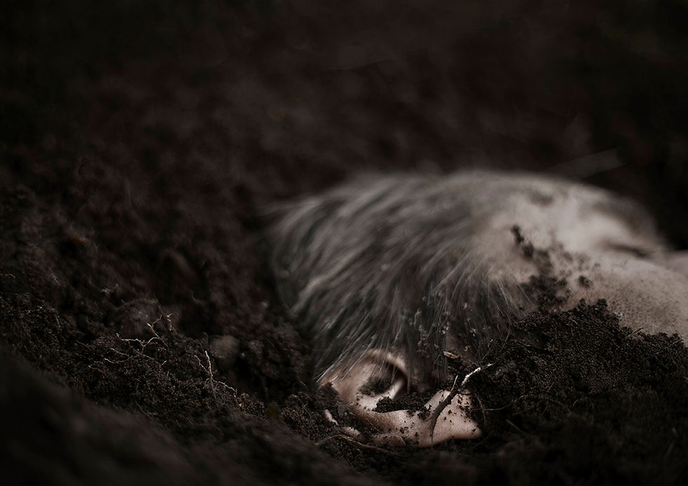 Thumbnail: To Putrefaction by Martin Bladh & Karolina Urbaniak