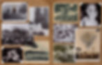 Thumbnail: Succubations and Incubations