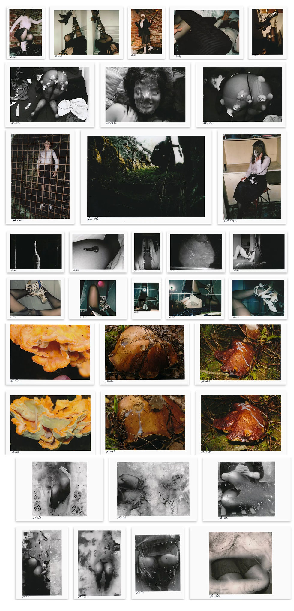 Thumbnail: Ecstatic Nausea by Jukka Siikala