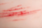 cover 2.jpg