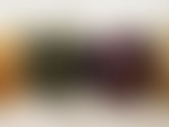 Five Different Types of Tea 