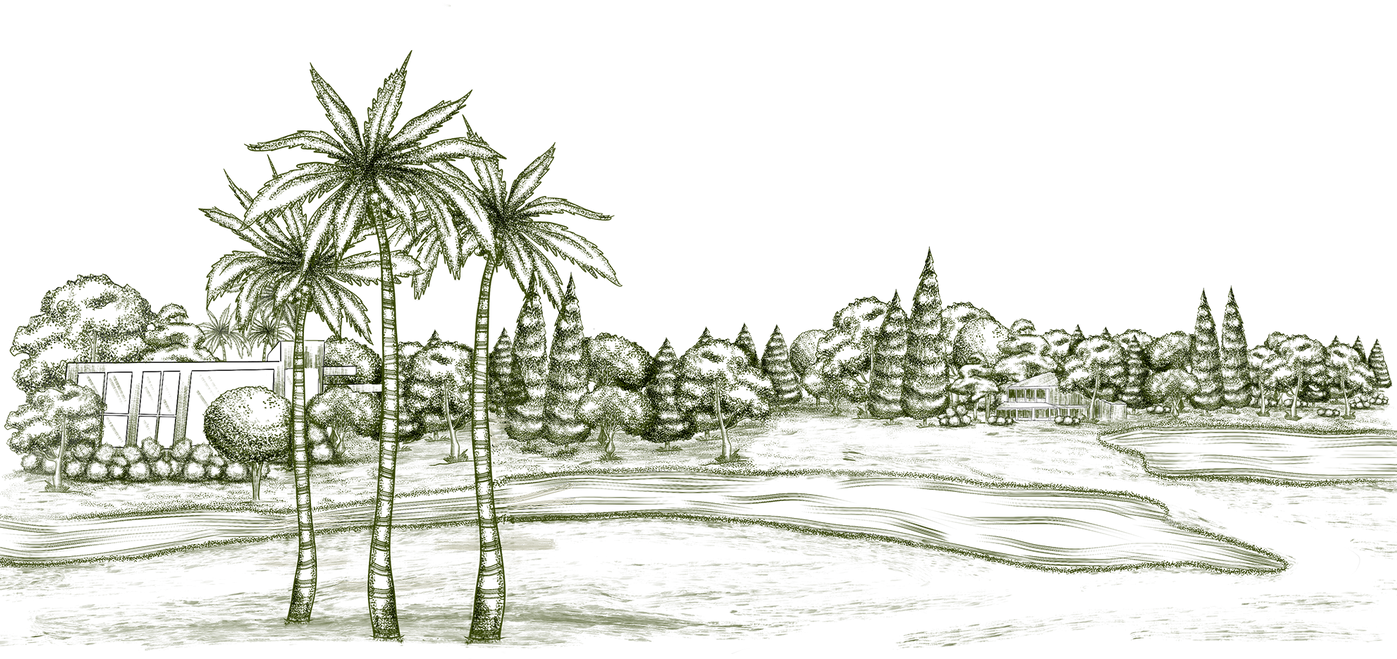 Paisagem.png