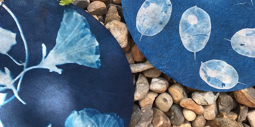 Cyanotypes, Sun Prints and Botanist Anna Atkins