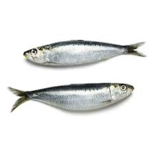Sardines (Whole)