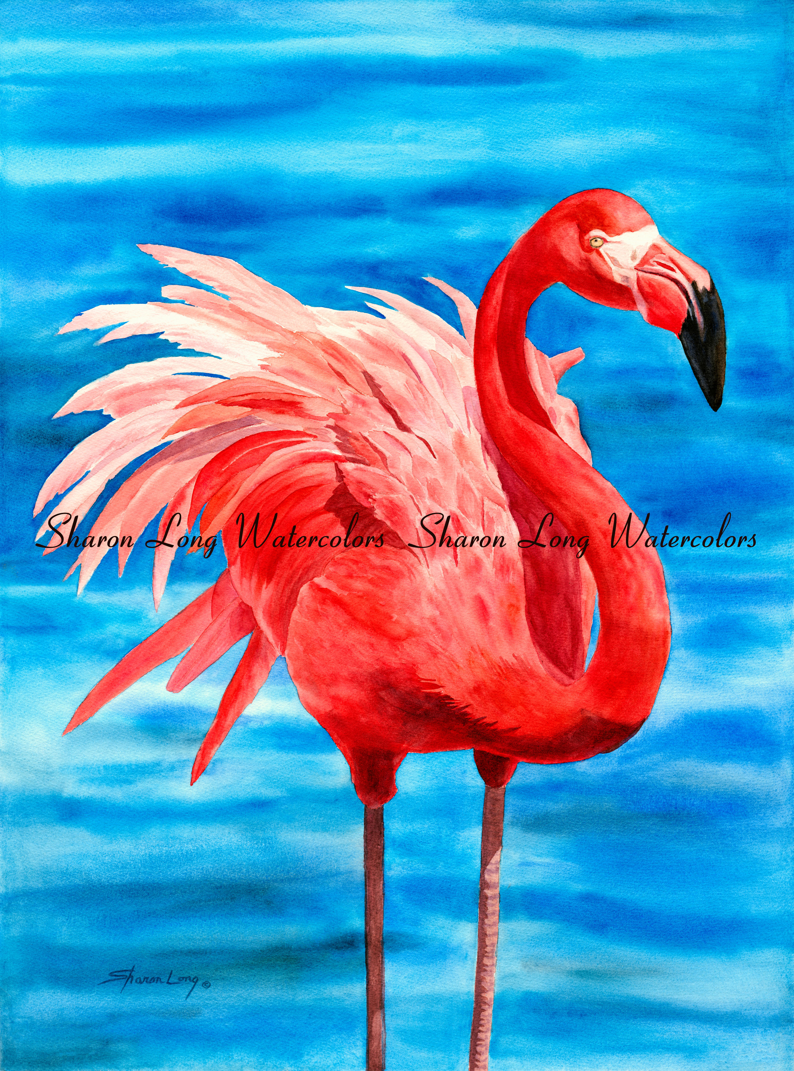 "Fancy Feathers" Print Matted 20x16 Pink Flamingo