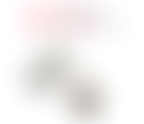 EXIT-PAD AG Silber-Verband