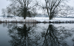 Snowy Stream